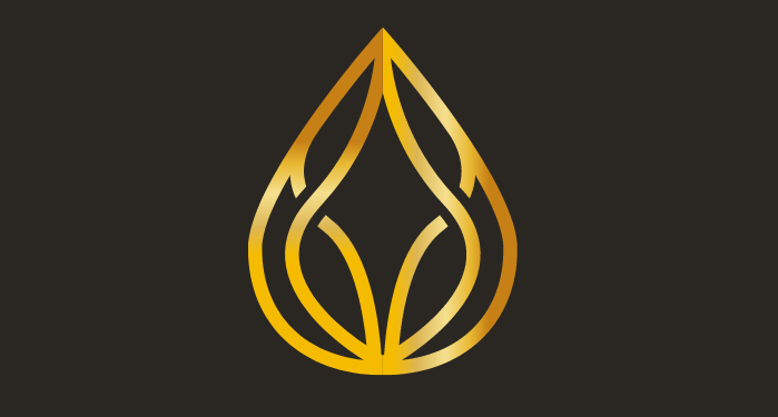 Luxury Spa Logo Design