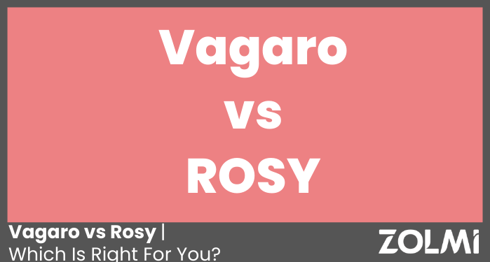 vagaro vs rosy